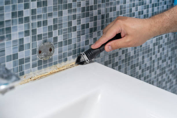 Best Commercial Mold Removal  in Lancaster, SC